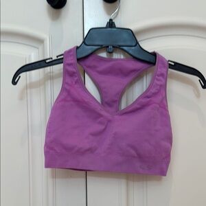 Seamless Purple Sports Bra